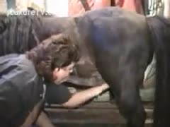 An amateur housewife who is chubby and has a propensity for beastiality enjoys sucking and banging horses.